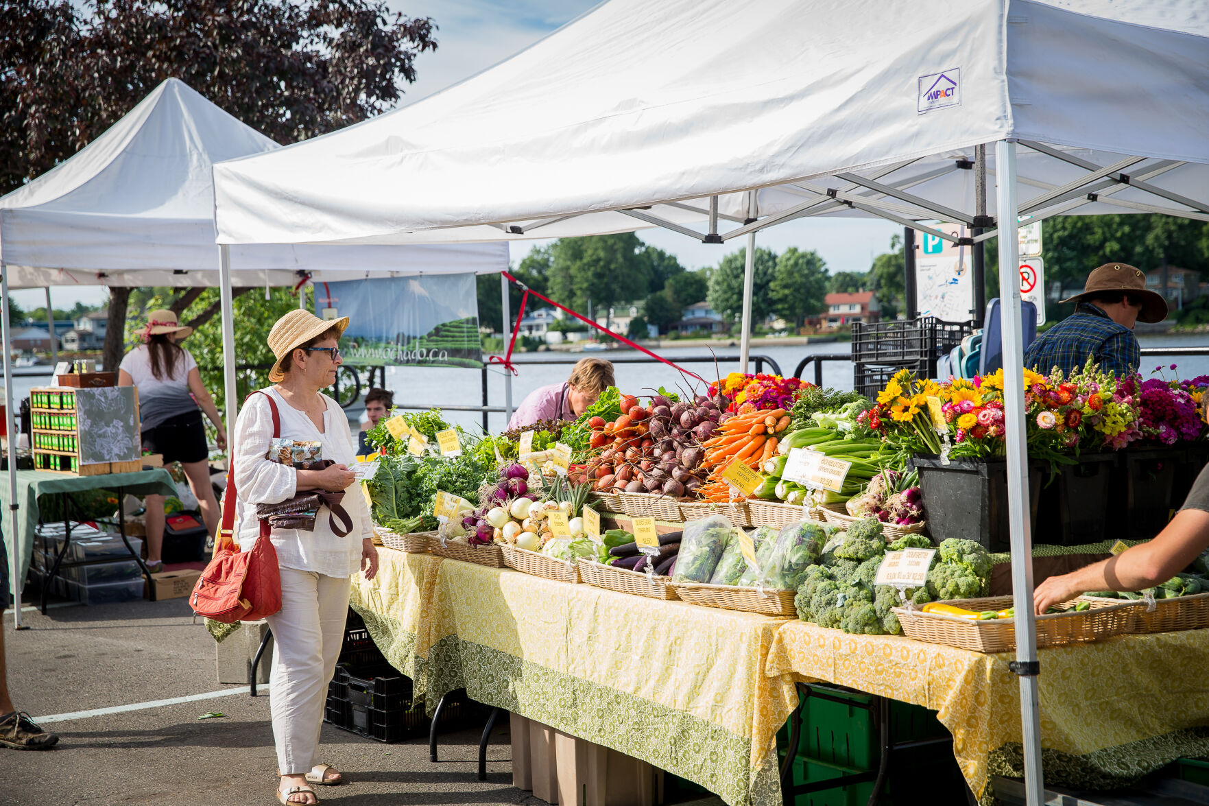 See the sights like a tourist in Saint-Anne-de-Bellevue
